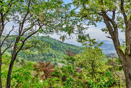 石云山