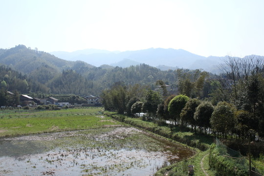 山區(qū)田園