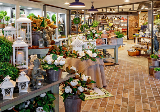 綠植盆栽店