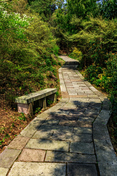 山間石板路 石階 山路