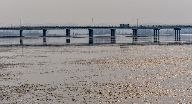 大橋