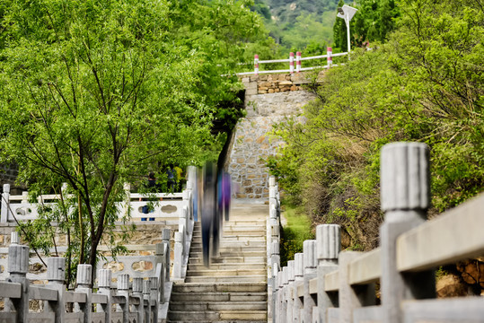 夢(mèng)幻情人谷