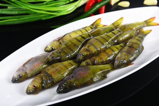 石斑魚