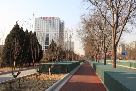 亦莊街景