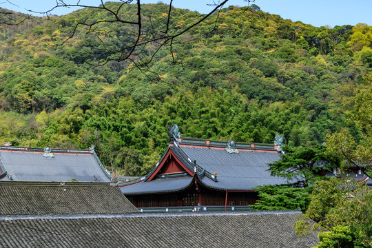 灰瓦寺廟建筑