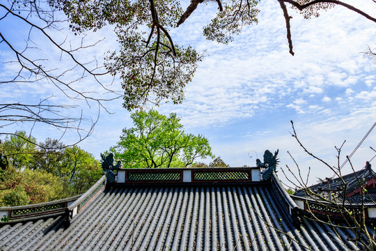 寺廟屋頂