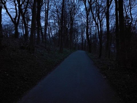 林間小路