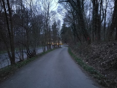 林間的小路