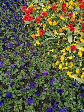 花壇