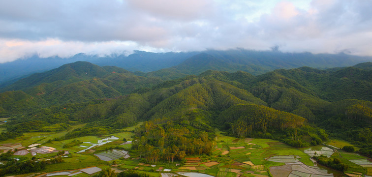 山 高山
