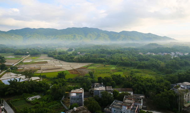 晨霧 風光 晨曦