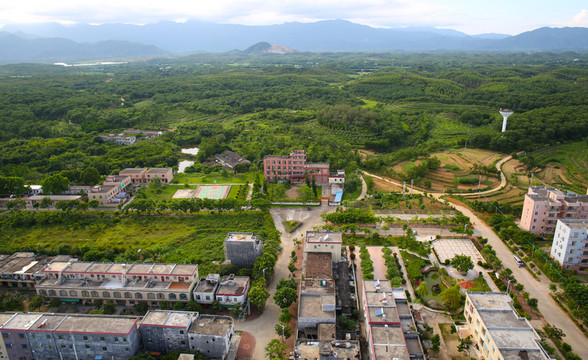 農(nóng)場 織篢農(nóng)場