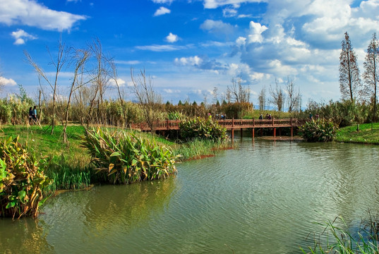 濕地公園 海東濕地