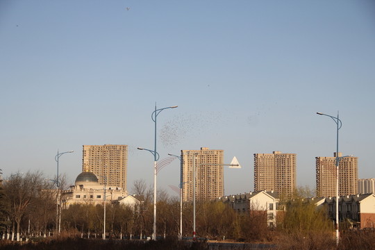 樓群