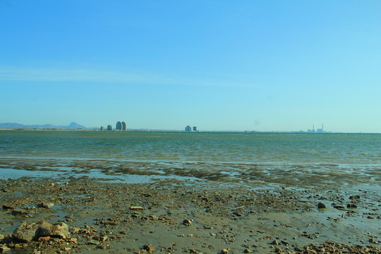 大海