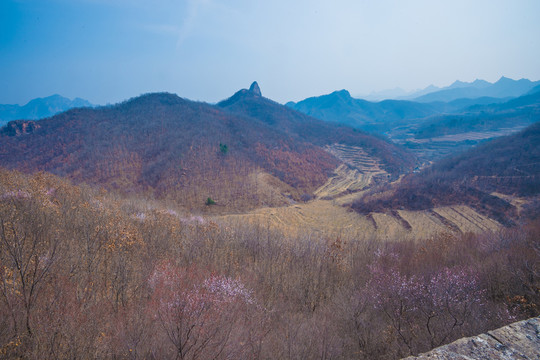 西溝野長(zhǎng)城