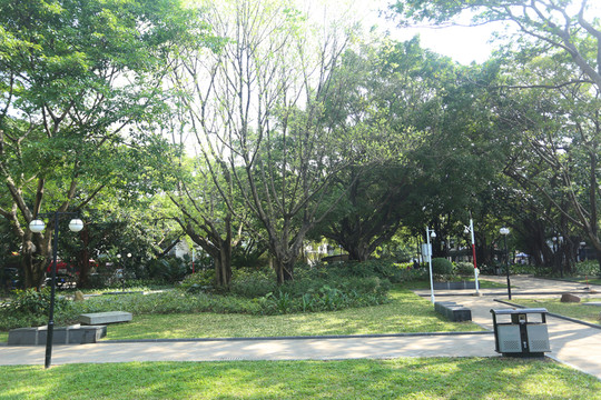 公園綠化