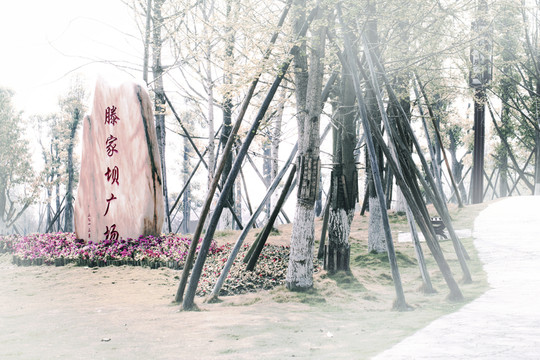 公園一角