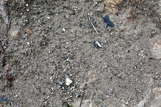 砂土 砂土地 沙地 沙土 素材