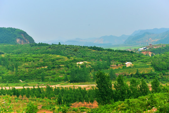 田園風(fēng)光