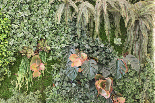 綠色植物墻
