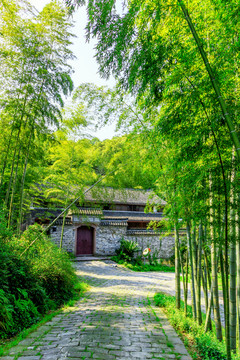 陽光竹林寺廟