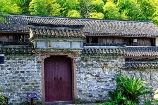 竹林房屋 藍(lán)天 圍墻內(nèi)竹林