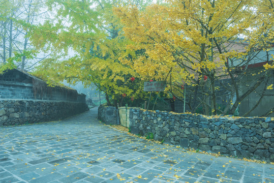 云南鄉(xiāng)村風(fēng)光