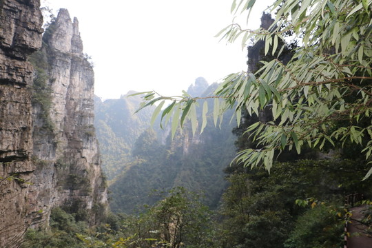 自然風景