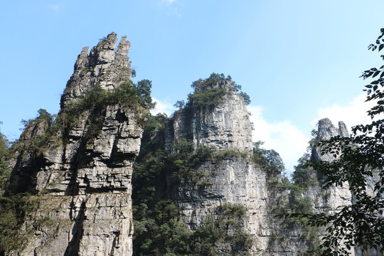 自然風(fēng)景