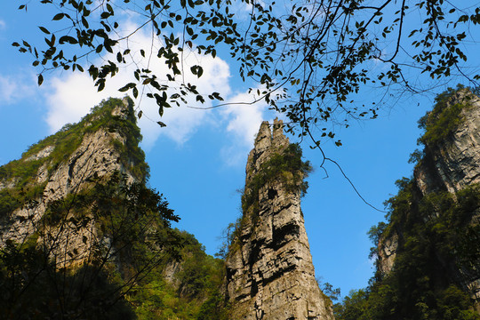 自然風(fēng)景