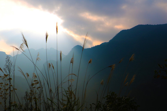 自然風(fēng)景