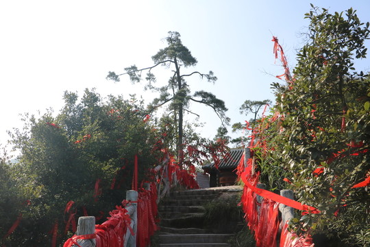 自然風(fēng)景