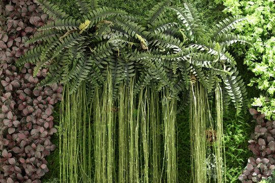 綠色植物墻 植物墻