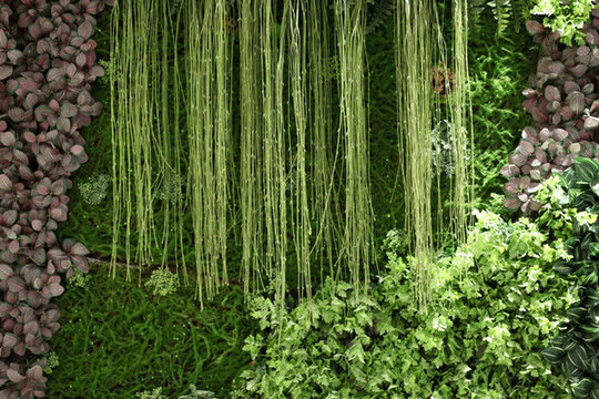 綠色植物墻