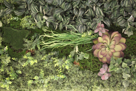 綠色植物墻 植物墻