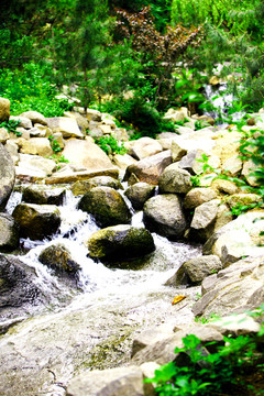 溪流 山澗溪水 山澗流水