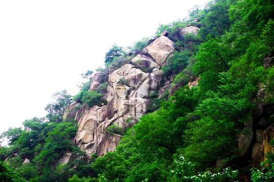 青山 山石 巨石