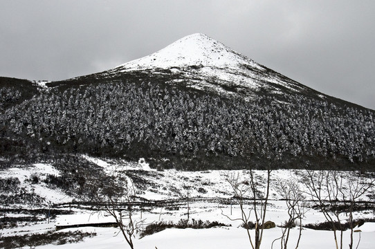 西藏雪山