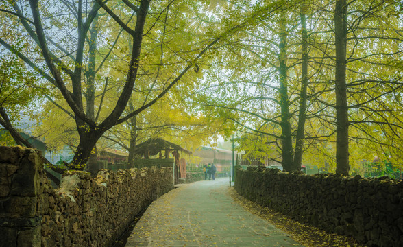 云南鄉(xiāng)村風(fēng)光