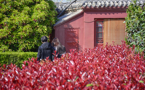 公園情侶