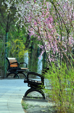 公園風光
