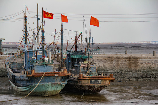 海陽(yáng)