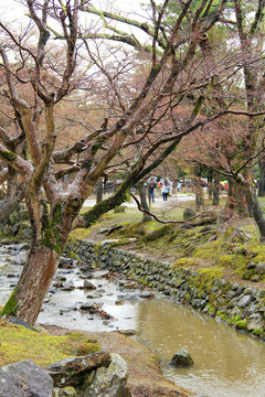 奈良公園