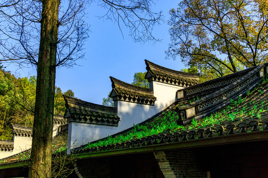 房屋古建筑