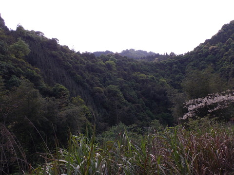 大山深處美景