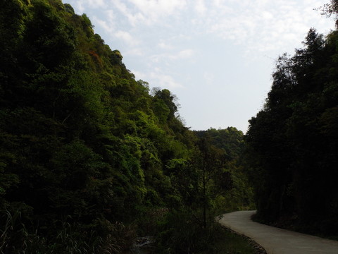 山間水泥路