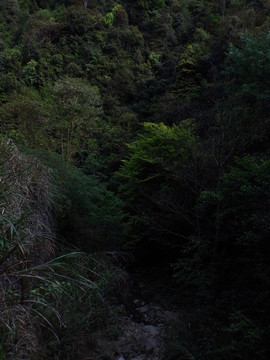 山中溪澗