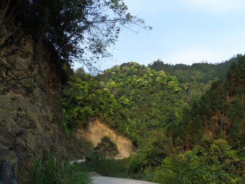 山中風(fēng)景