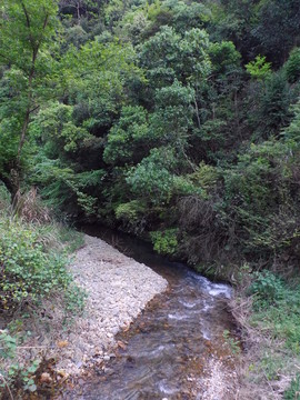 山間溪流